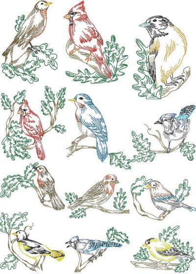 Song birds collection | Machine Embroidery Designs By Sew Swell