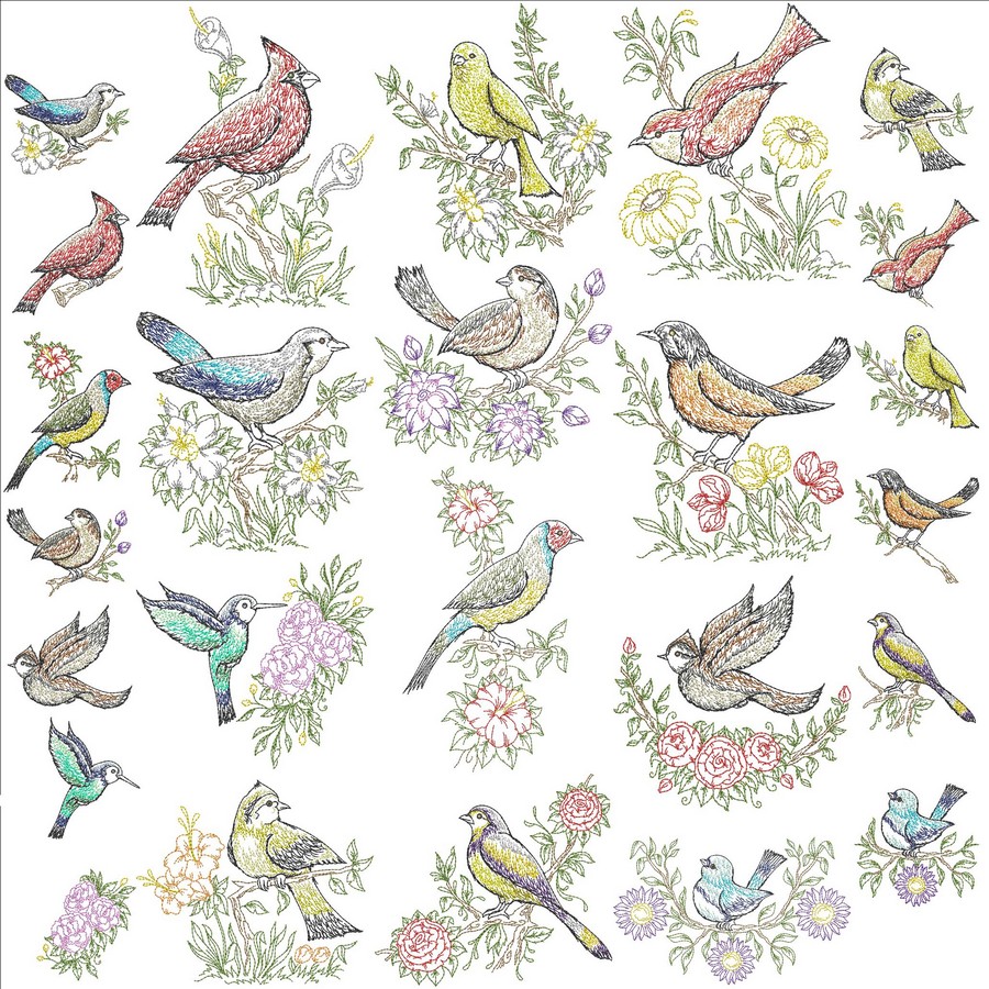 Spring Bird Portraits | Machine Embroidery Designs By Sew Swell