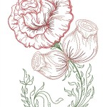Timeless Roses Collection | Machine Embroidery Designs By Sew Swell