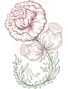 Timeless Roses Collection | Machine Embroidery Designs By Sew Swell