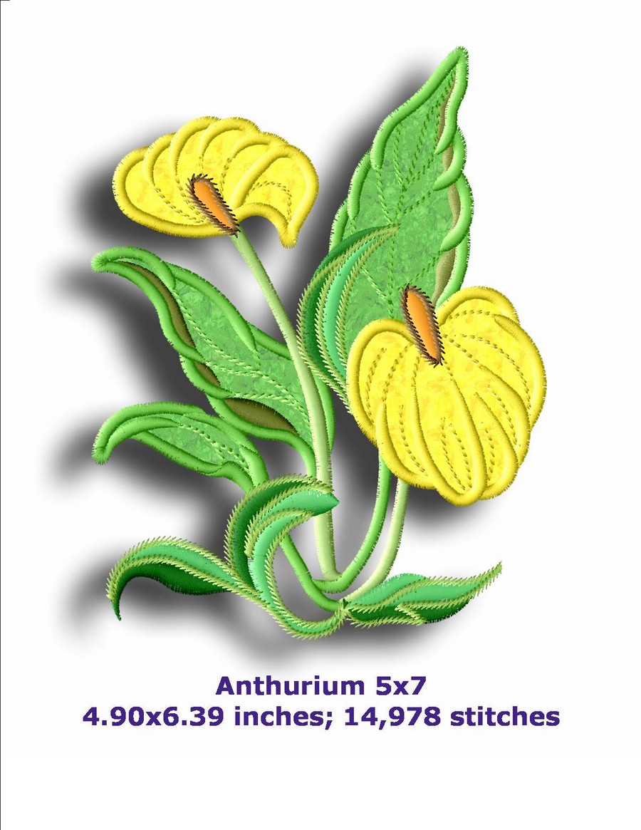Tropical Flowers Applique Machine Embroidery Designs By Sew Swell